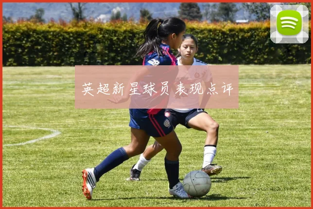 英超新星球员表现点评
