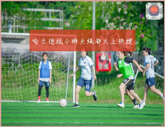 哈兰德梳小辫头绳都火上热搜