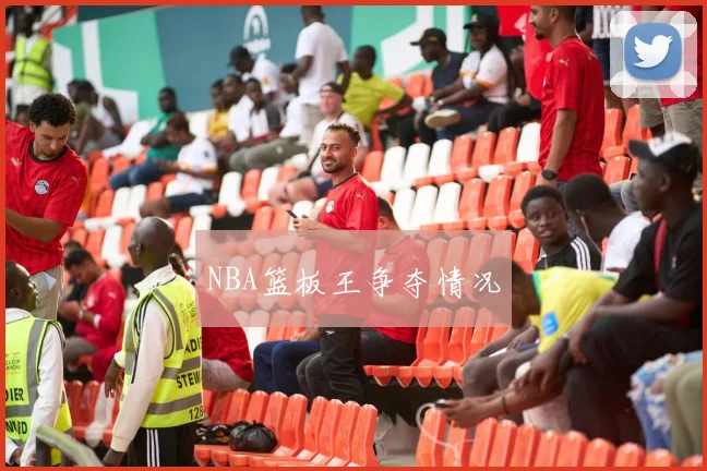 NBA篮板王争夺情况