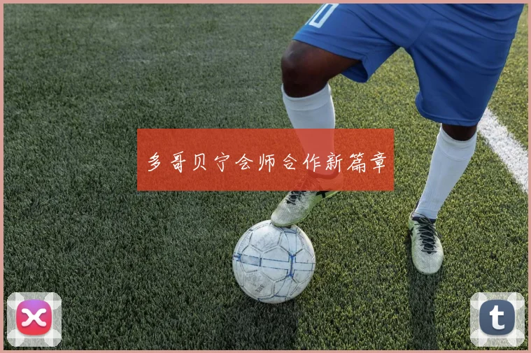 多哥贝宁会师合作新篇章